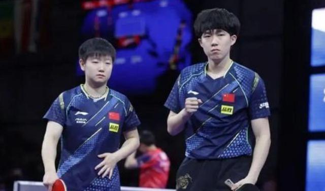 新澳门2024年正版免费公开的全面释义、解释与落实