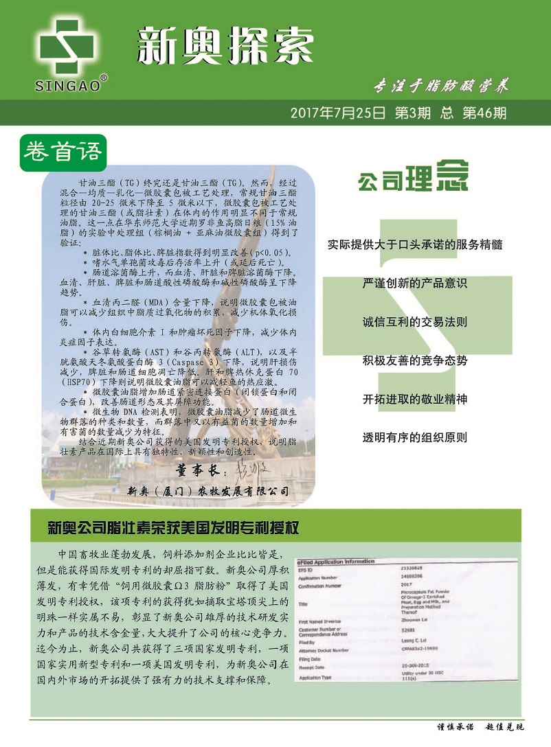 新澳2025年正版资料更新，全面释义、解释与落实