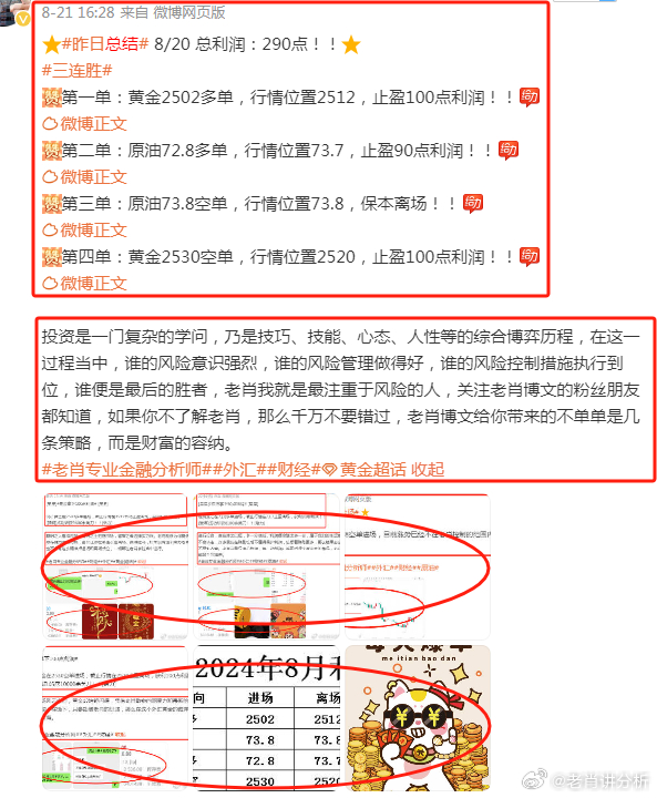 香港最准的100%肖一肖全面解读与深度解析