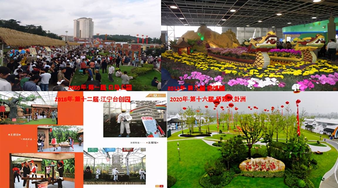 新奥正版资料大全，精选解析与全面落实的蓝图