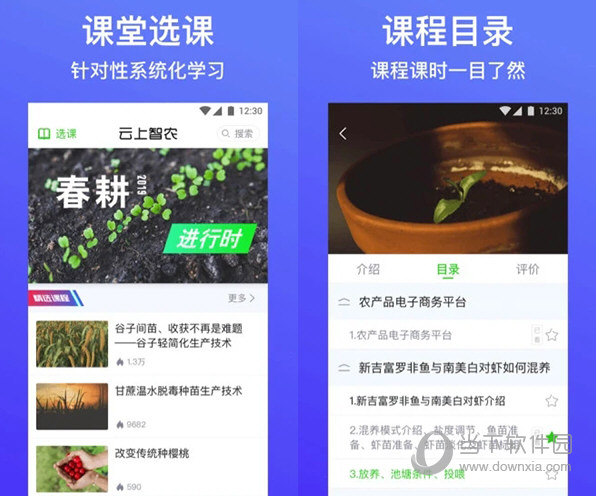 揭秘2025新澳免费资料内部玄机与新奥长期免费资料大全的探索之旅