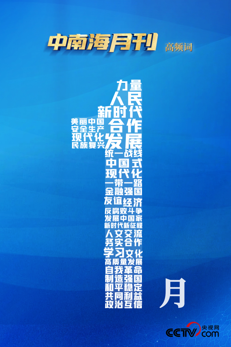 探索新澳门，2025年天天免费精准大全的实证释义与实践路径