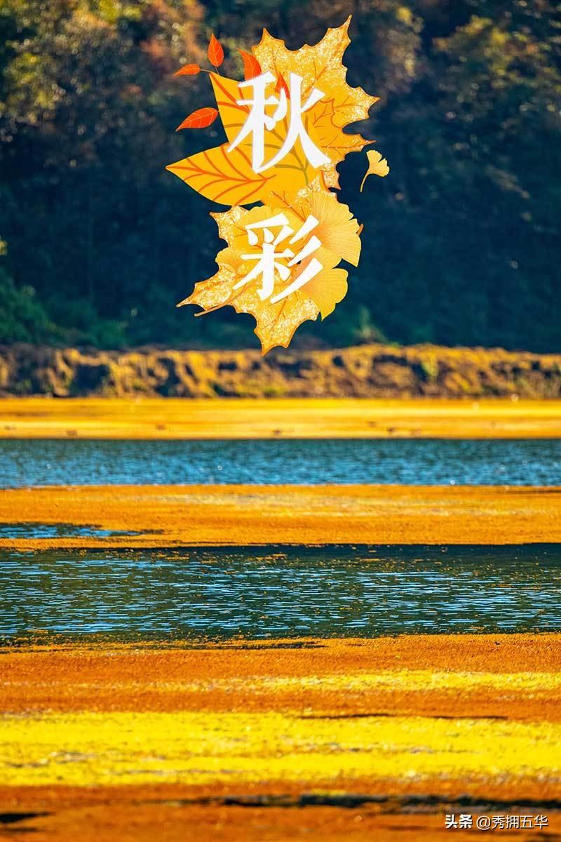 解析与落实，关于2025年天天彩免费资料的政策释义与实施策略