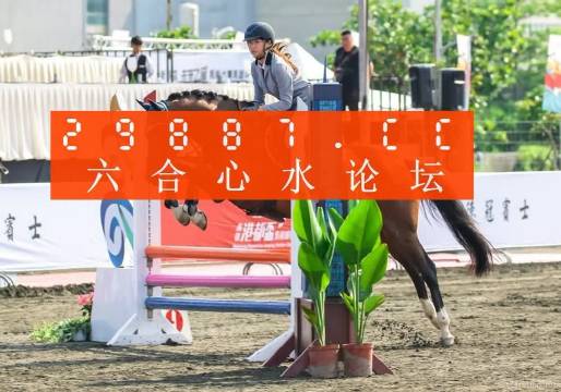 探索与解读，2025年新澳门天天免费精准大全
