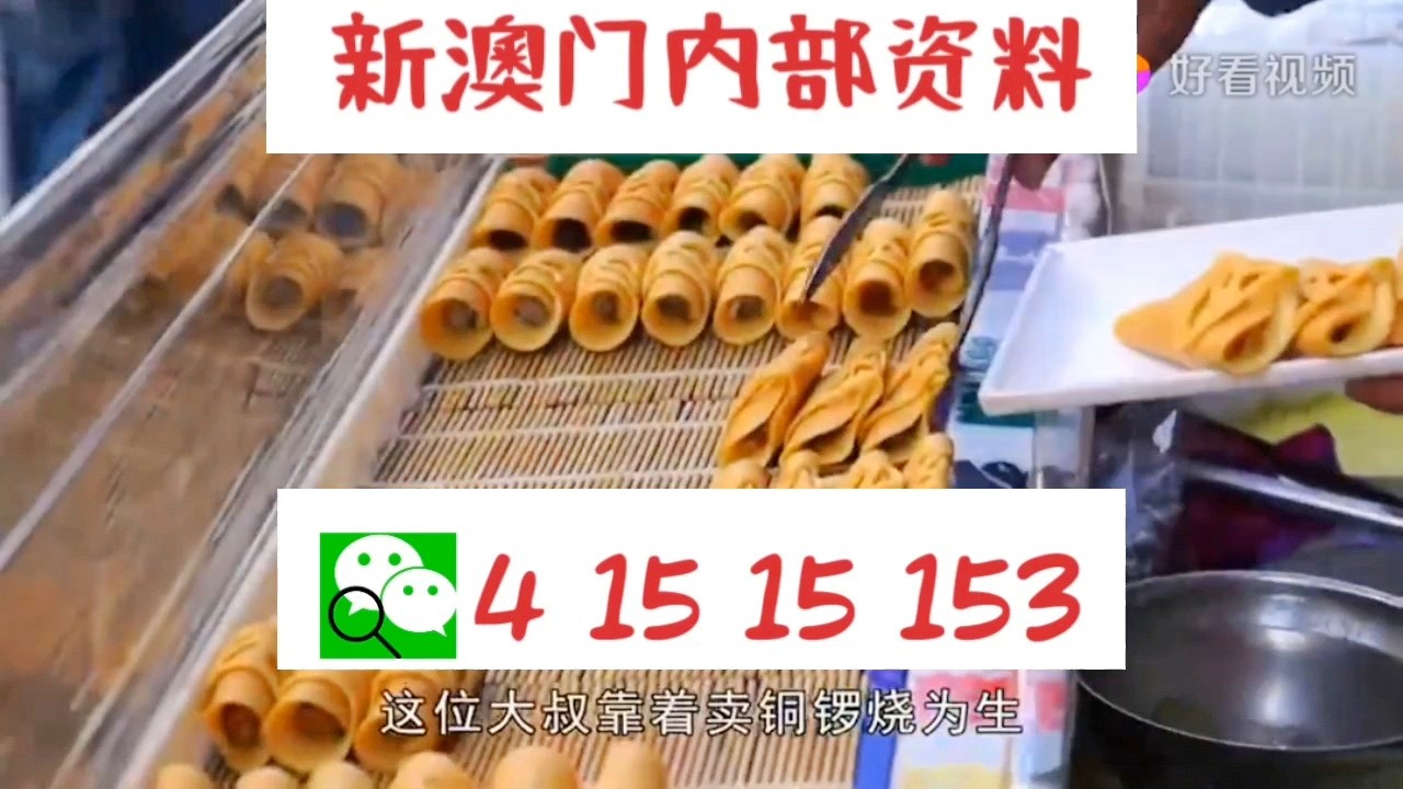 澳门天天好彩，精彩纷呈活动，迎接美好未来—展望2025年澳门天天好彩活动盛况